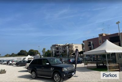 Motorscar Rental