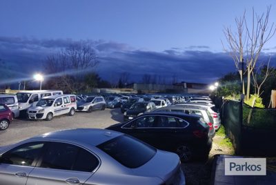 Parking Cars